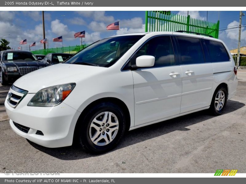 Taffeta White / Ivory 2005 Honda Odyssey EX-L