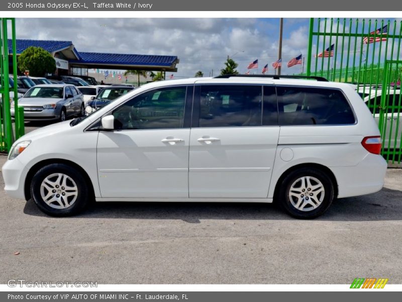 Taffeta White / Ivory 2005 Honda Odyssey EX-L