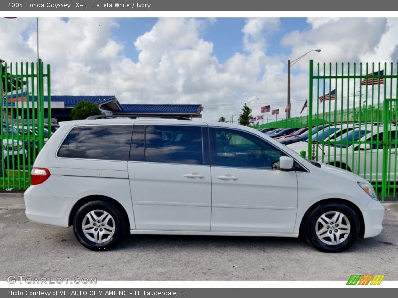 Taffeta White / Ivory 2005 Honda Odyssey EX-L