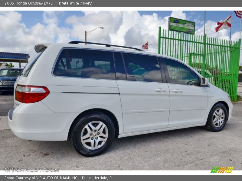 Taffeta White / Ivory 2005 Honda Odyssey EX-L