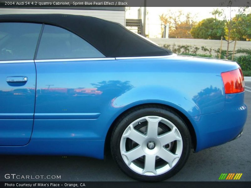 Sprint Blue Pearl Effect / Black 2004 Audi S4 4.2 quattro Cabriolet