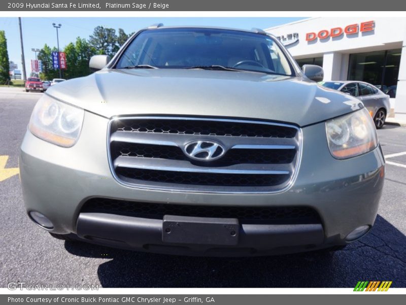 Platinum Sage / Beige 2009 Hyundai Santa Fe Limited