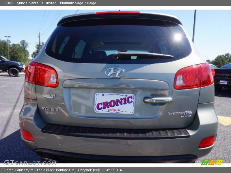 Platinum Sage / Beige 2009 Hyundai Santa Fe Limited