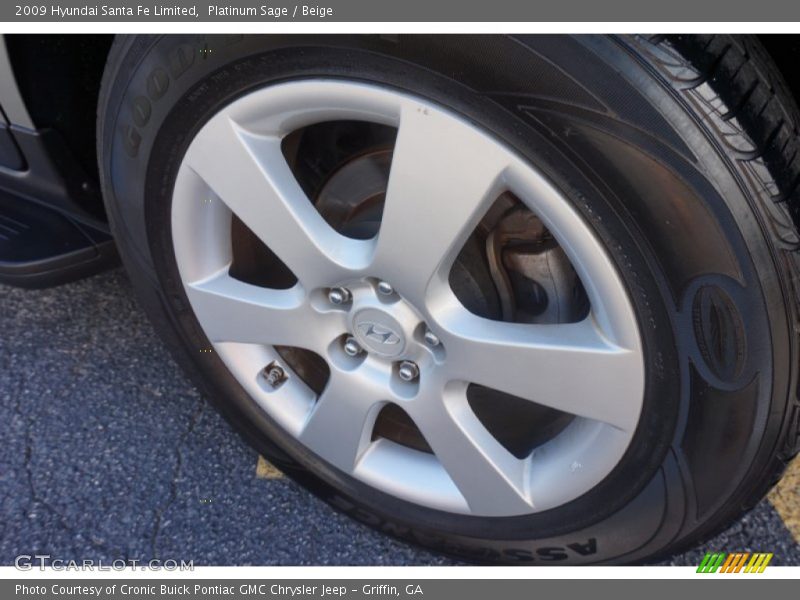 Platinum Sage / Beige 2009 Hyundai Santa Fe Limited