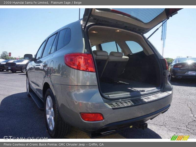 Platinum Sage / Beige 2009 Hyundai Santa Fe Limited