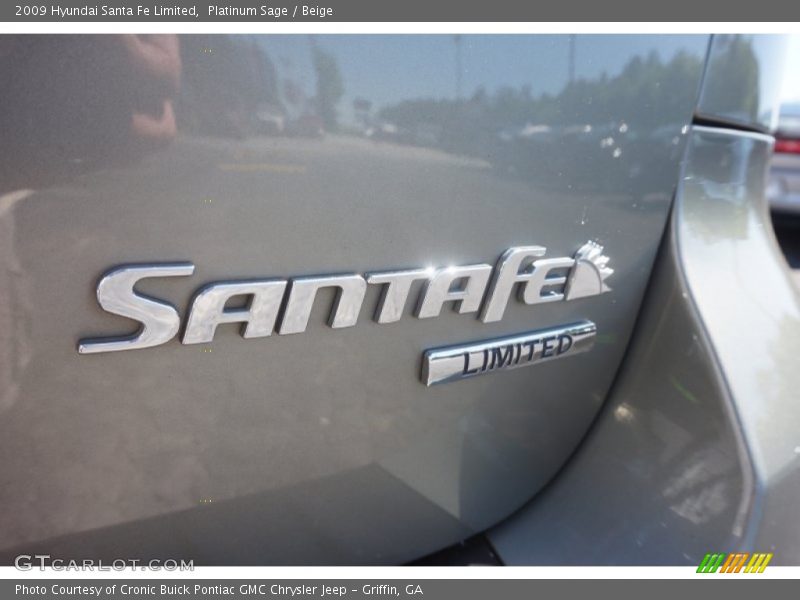 Platinum Sage / Beige 2009 Hyundai Santa Fe Limited