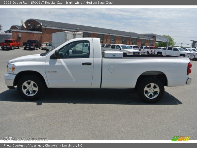 Bright White / Medium Slate Gray 2008 Dodge Ram 1500 SLT Regular Cab