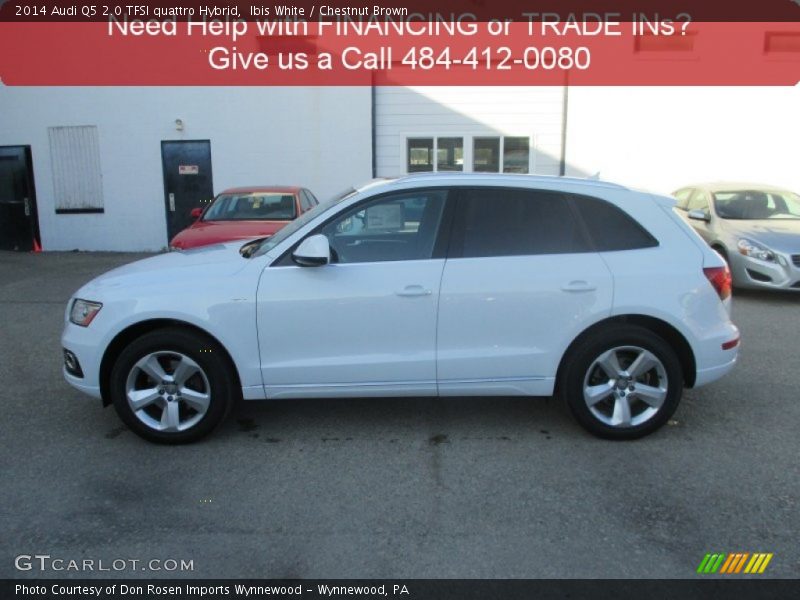 Ibis White / Chestnut Brown 2014 Audi Q5 2.0 TFSI quattro Hybrid