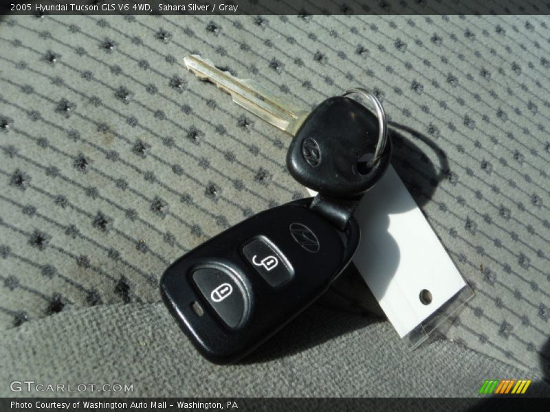 Sahara Silver / Gray 2005 Hyundai Tucson GLS V6 4WD