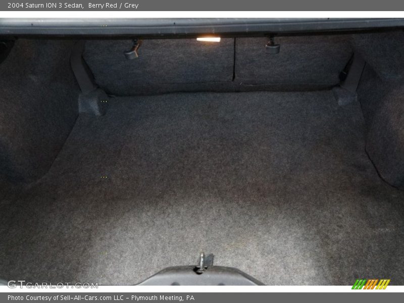 Berry Red / Grey 2004 Saturn ION 3 Sedan