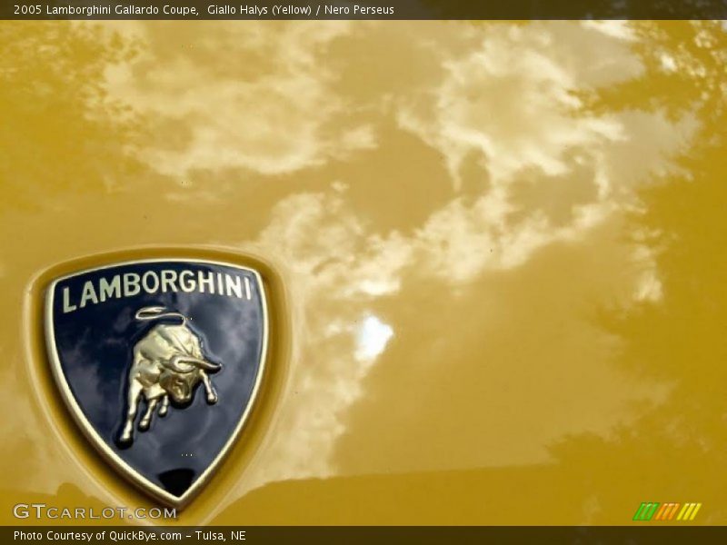 Lamborghini - 2005 Lamborghini Gallardo Coupe