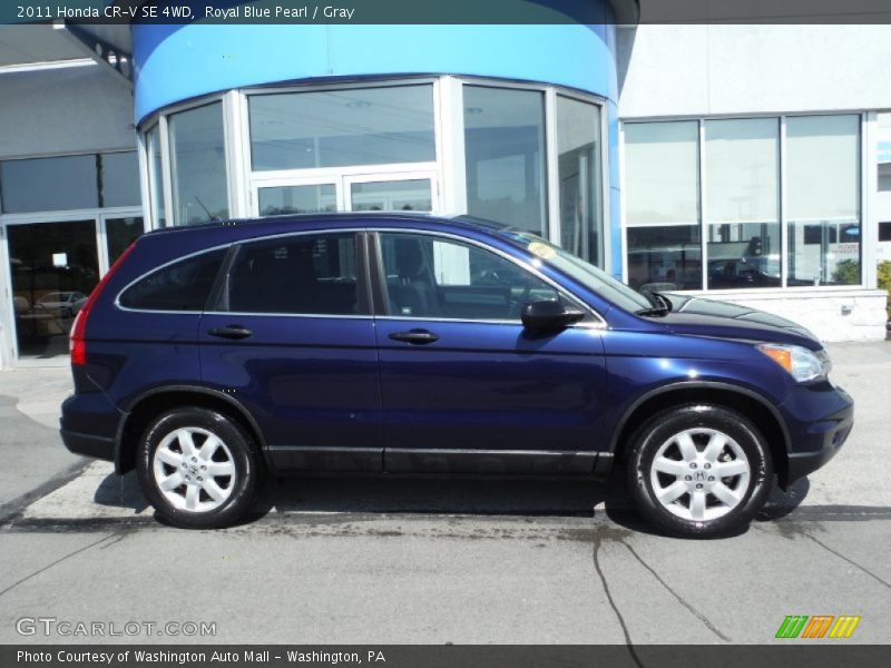 Royal Blue Pearl / Gray 2011 Honda CR-V SE 4WD