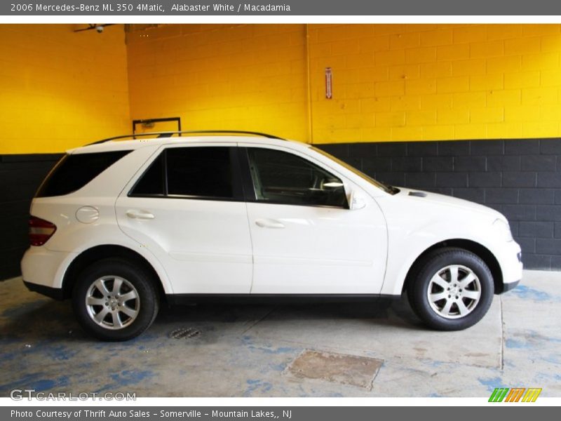 Alabaster White / Macadamia 2006 Mercedes-Benz ML 350 4Matic