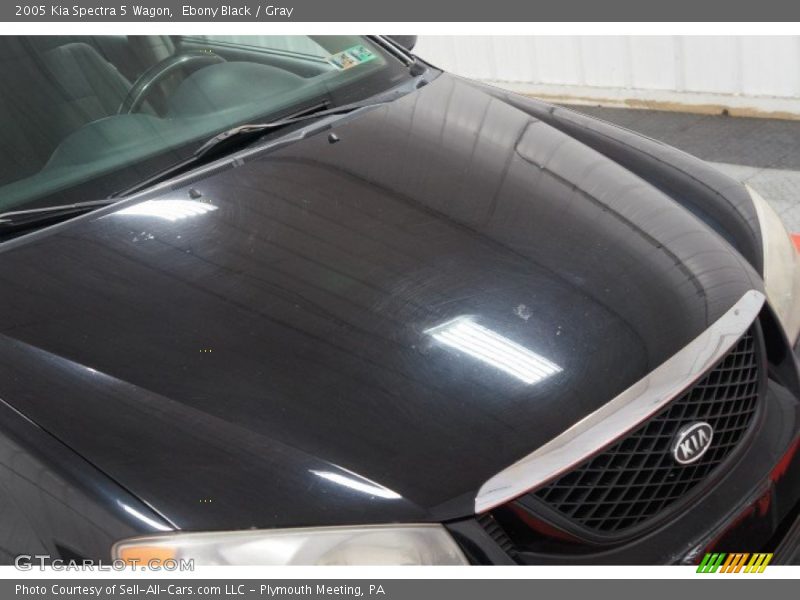Ebony Black / Gray 2005 Kia Spectra 5 Wagon