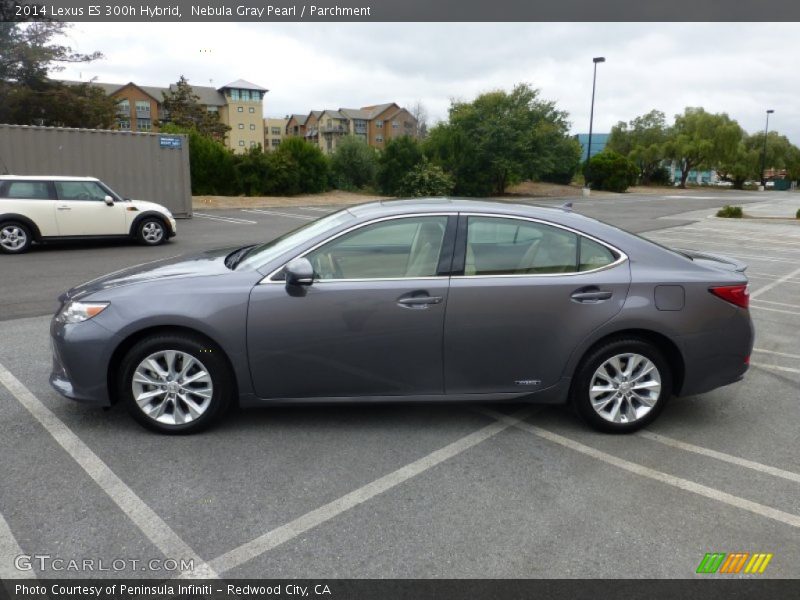 Nebula Gray Pearl / Parchment 2014 Lexus ES 300h Hybrid