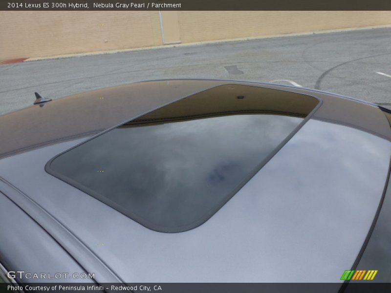 Nebula Gray Pearl / Parchment 2014 Lexus ES 300h Hybrid
