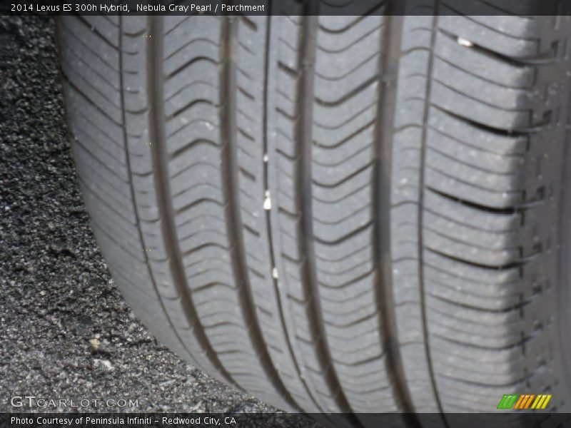 Nebula Gray Pearl / Parchment 2014 Lexus ES 300h Hybrid