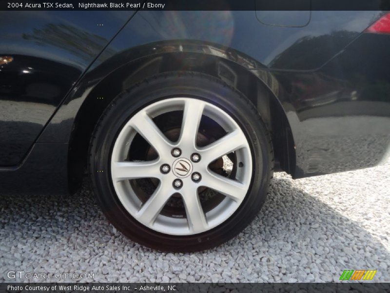 Nighthawk Black Pearl / Ebony 2004 Acura TSX Sedan