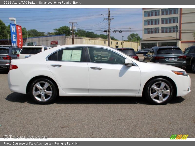 Bellanova White Pearl / Ebony 2012 Acura TSX Sedan