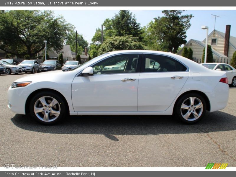 Bellanova White Pearl / Ebony 2012 Acura TSX Sedan