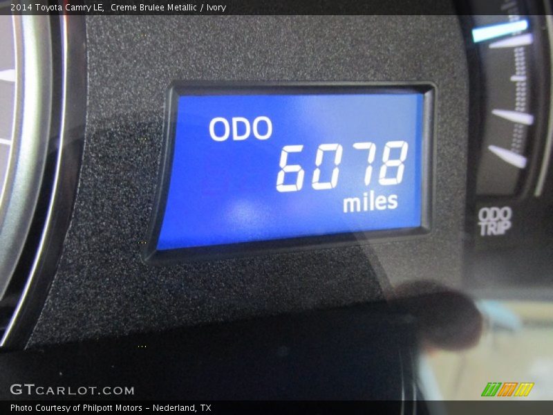 Creme Brulee Metallic / Ivory 2014 Toyota Camry LE