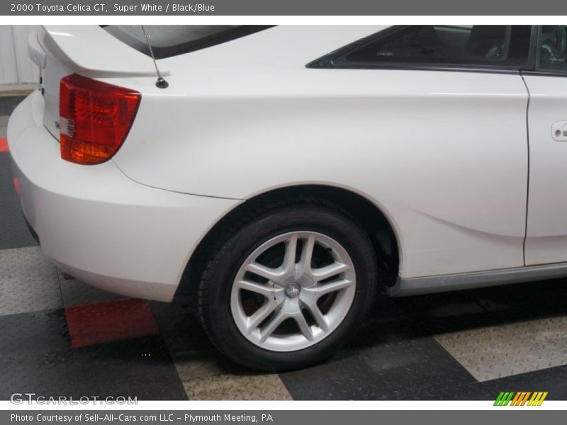 Super White / Black/Blue 2000 Toyota Celica GT
