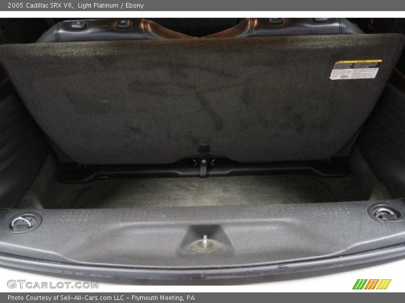 Light Platinum / Ebony 2005 Cadillac SRX V6