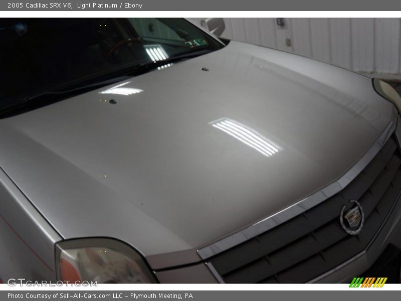 Light Platinum / Ebony 2005 Cadillac SRX V6