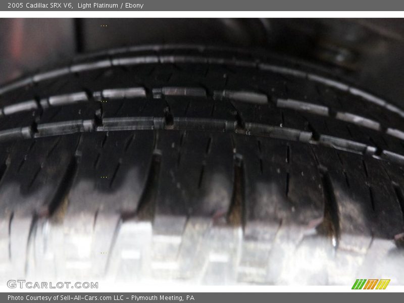 Light Platinum / Ebony 2005 Cadillac SRX V6