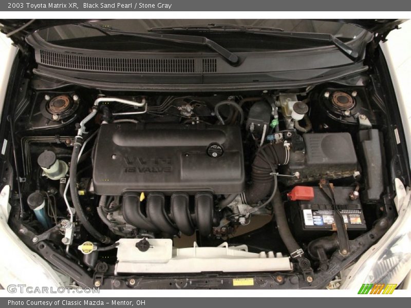Black Sand Pearl / Stone Gray 2003 Toyota Matrix XR