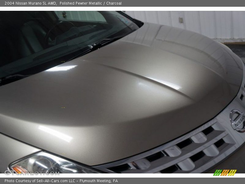 Polished Pewter Metallic / Charcoal 2004 Nissan Murano SL AWD