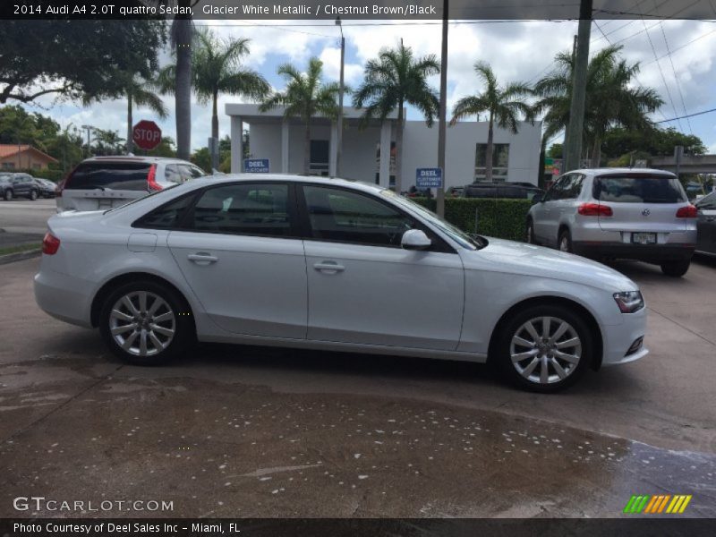Glacier White Metallic / Chestnut Brown/Black 2014 Audi A4 2.0T quattro Sedan