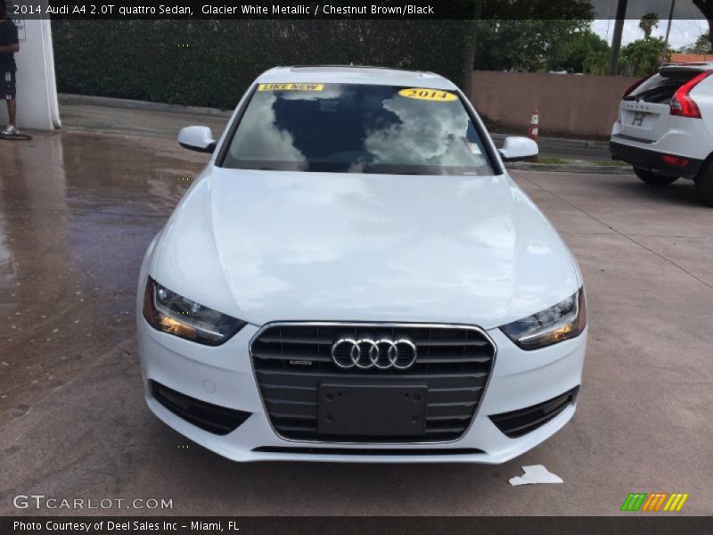 Glacier White Metallic / Chestnut Brown/Black 2014 Audi A4 2.0T quattro Sedan