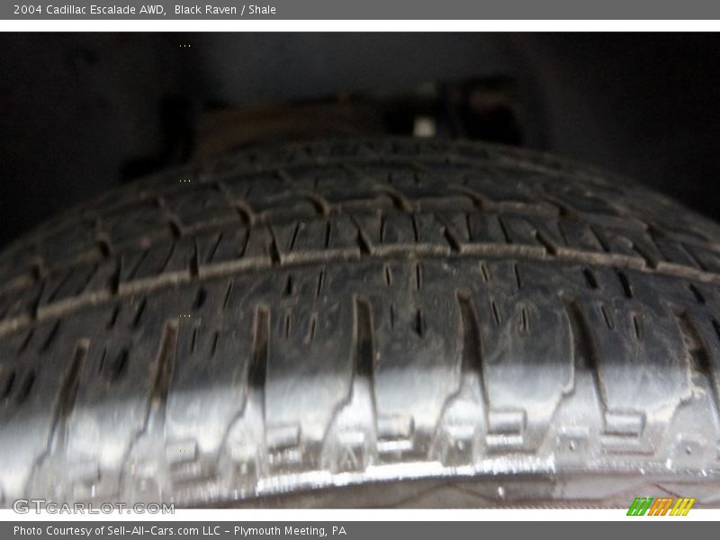 Black Raven / Shale 2004 Cadillac Escalade AWD