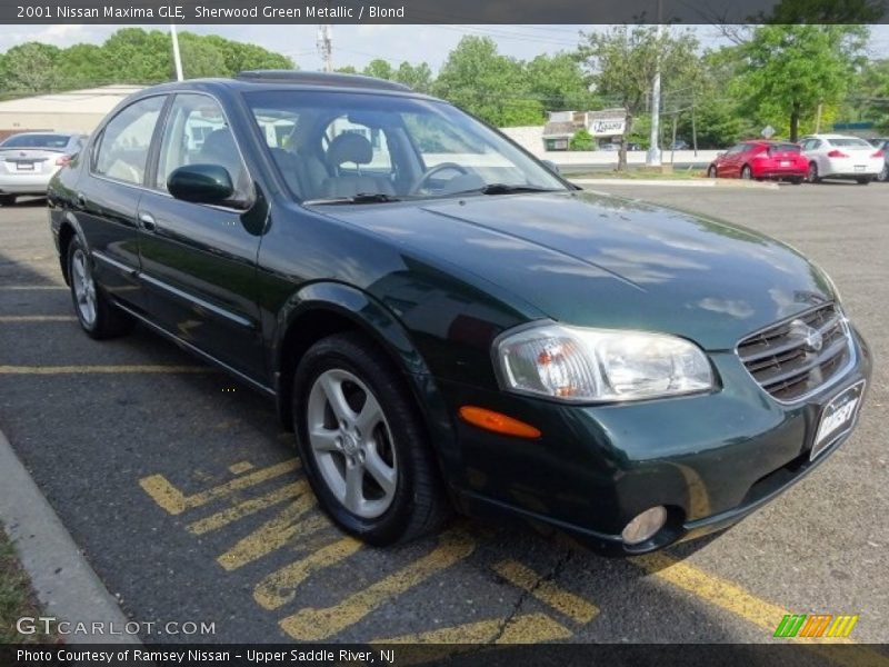 Sherwood Green Metallic / Blond 2001 Nissan Maxima GLE