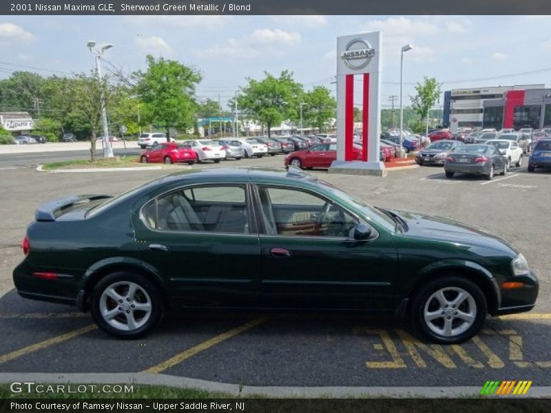  2001 Maxima GLE Sherwood Green Metallic