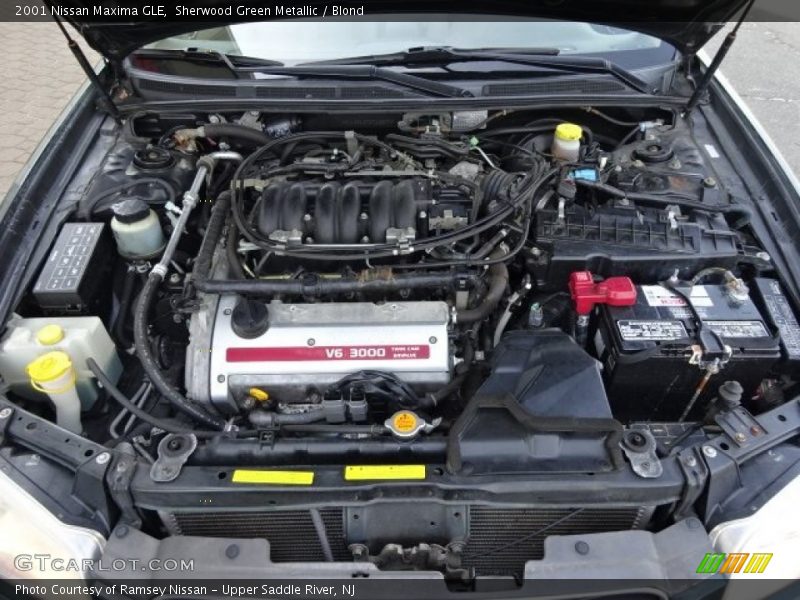 Sherwood Green Metallic / Blond 2001 Nissan Maxima GLE