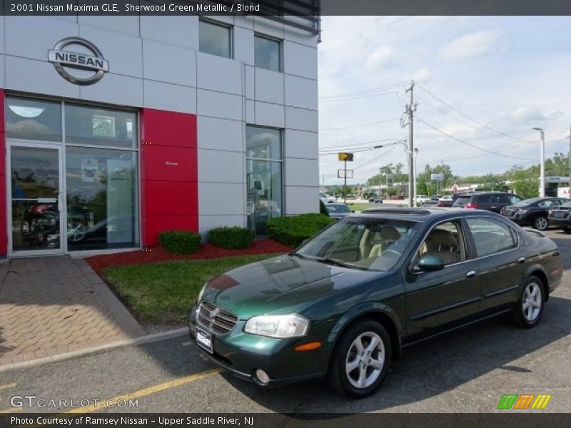Sherwood Green Metallic / Blond 2001 Nissan Maxima GLE