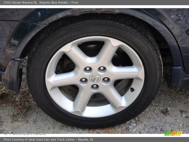 Majestic Blue Metallic / Frost 2002 Nissan Maxima SE