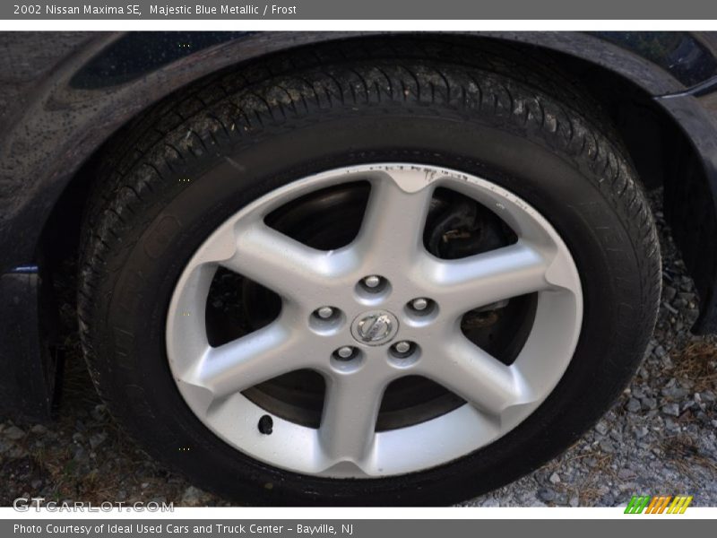 Majestic Blue Metallic / Frost 2002 Nissan Maxima SE