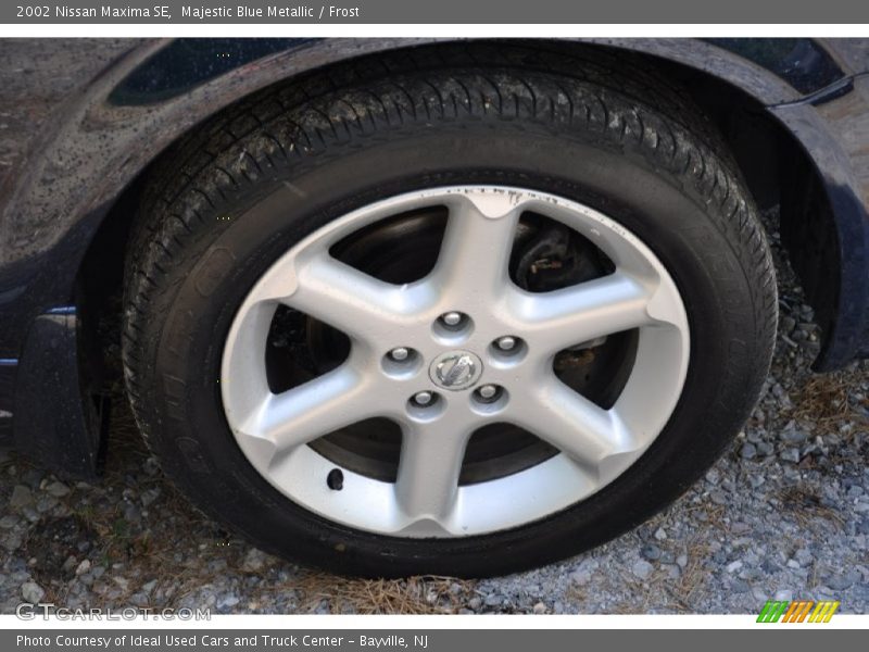 Majestic Blue Metallic / Frost 2002 Nissan Maxima SE