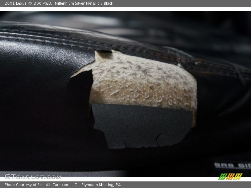 Millennium Silver Metallic / Black 2001 Lexus RX 300 AWD