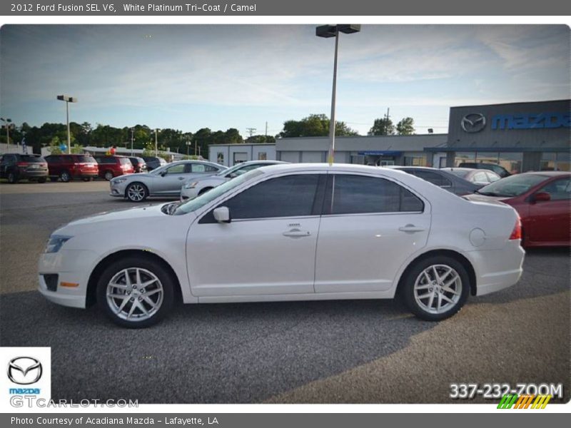 White Platinum Tri-Coat / Camel 2012 Ford Fusion SEL V6