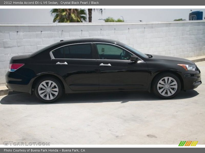 Crystal Black Pearl / Black 2012 Honda Accord EX-L V6 Sedan