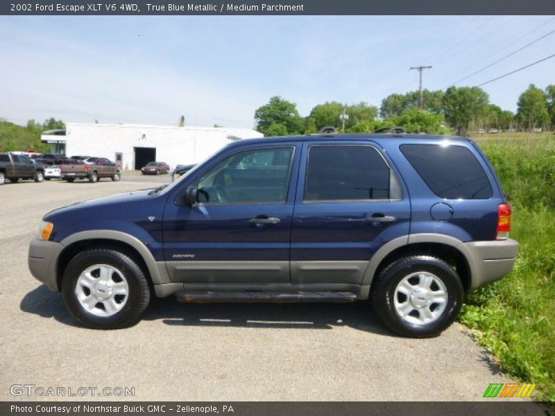 True Blue Metallic / Medium Parchment 2002 Ford Escape XLT V6 4WD