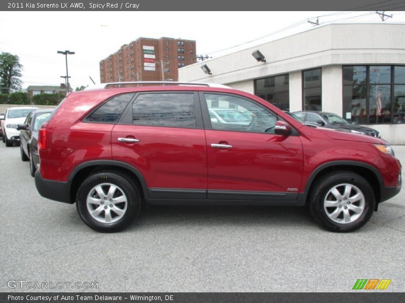 Spicy Red / Gray 2011 Kia Sorento LX AWD