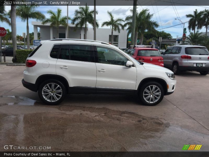 Candy White / Beige 2012 Volkswagen Tiguan SE