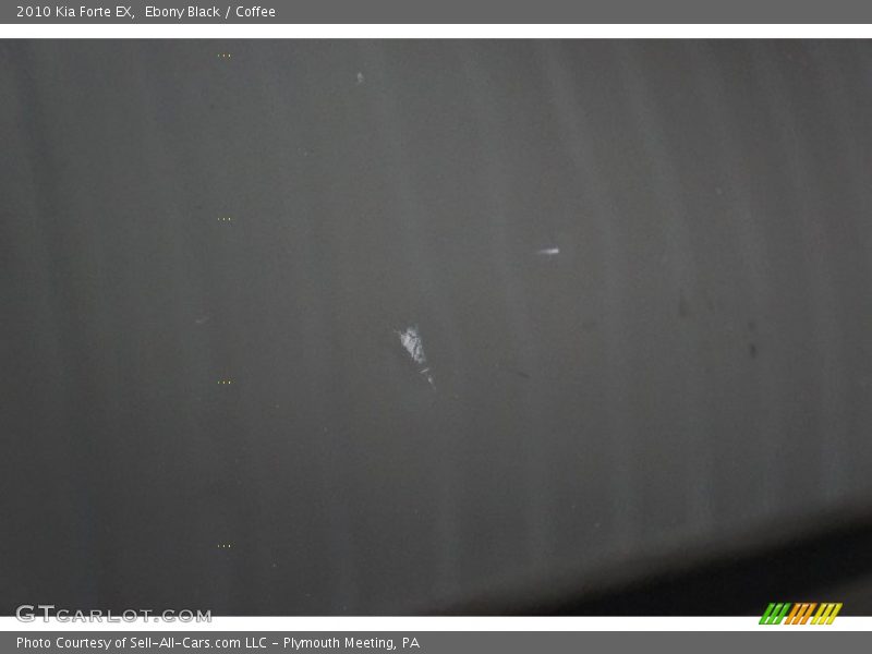 Ebony Black / Coffee 2010 Kia Forte EX