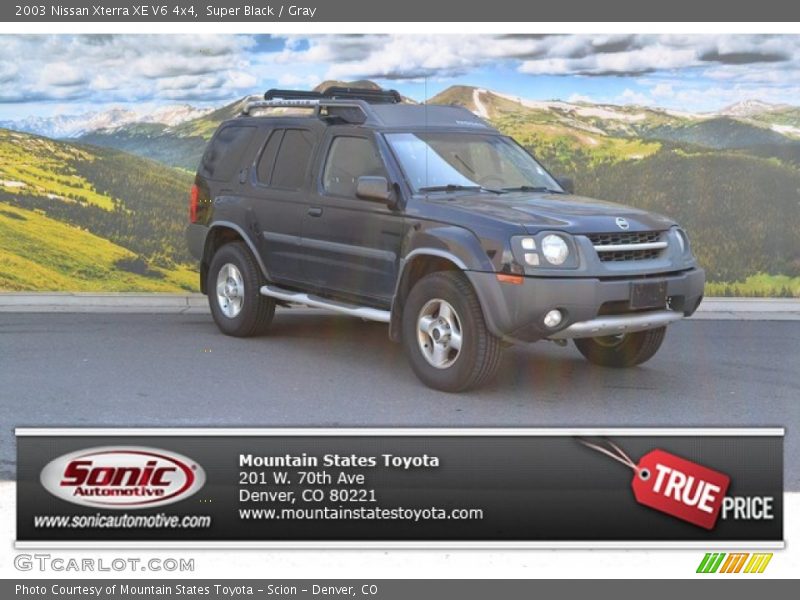 Super Black / Gray 2003 Nissan Xterra XE V6 4x4