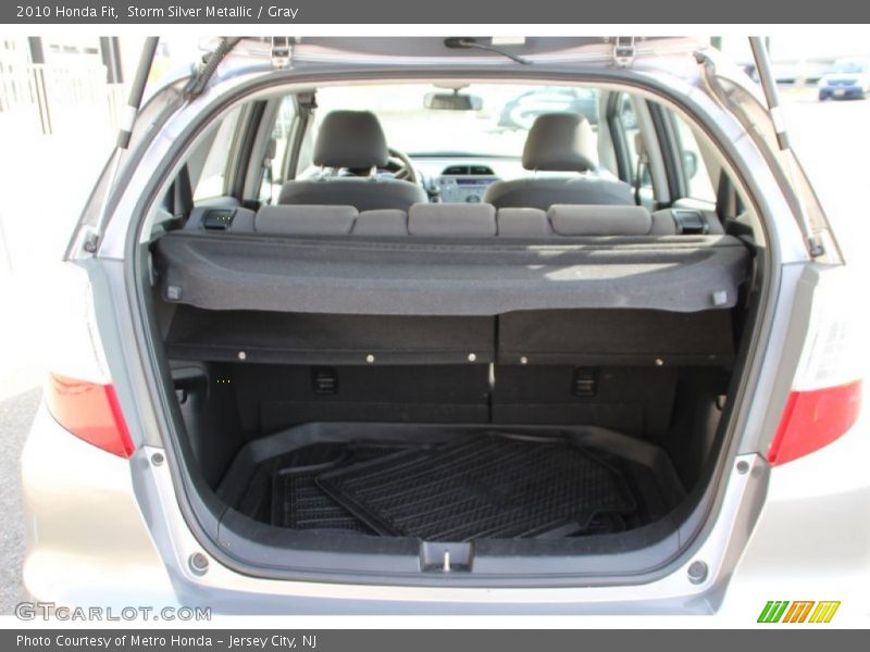Storm Silver Metallic / Gray 2010 Honda Fit